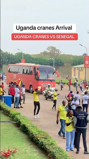 Uganda Cranes players arrive at Nambole | UGANDA Vs SENEGAL🇸🇳