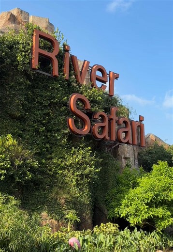 Đánh giá độ swaggy của các con thú trong safari