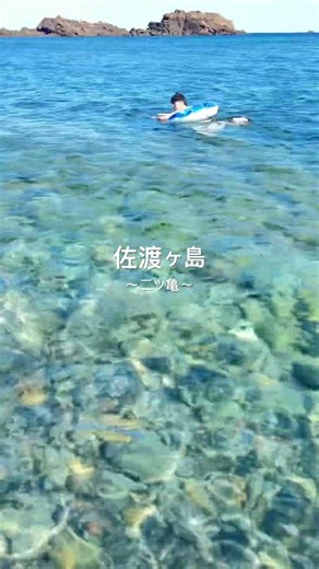 佐渡ヶ島の海が信じられないほど澄んでた 📍二ツ亀海岸 #japan #海 #国内旅行 #新潟 #佐渡島 #旅行 #vlog #夏 #けえ