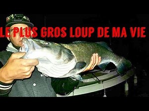 Pêche d'un énorme bar (loup) au leurre aliexpress