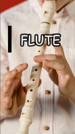 What is this? Flute