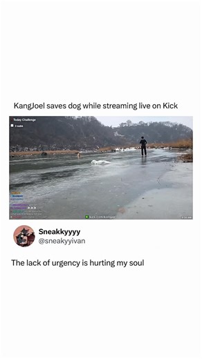 The wholly pun bible 📖 on Instagram: "Streamer KangJoel saving a dog from a frozen lake 🤯"