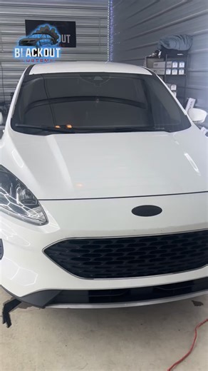 🖤 Ford Escape — Full Blackout Treatment 🖤 This Escape just got the Blackout Customs upgrade — deep tint, full privacy, and a smooth, stealthy finish. Clean look. Dark vibe. 💨 📲 DM to book your blackout today. #BlackoutCustoms #FordEscape #BlackedOut #CeramicTint #SUVTint TintLife DetroitTints StealthMode | Blackout Customs