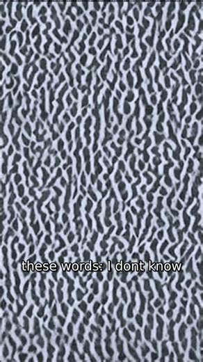 import argparse import json import os import re from datetime import #Shorts