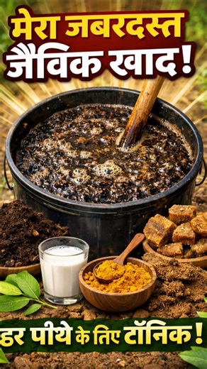 Turn Banana & Orange Peels into Powerful Liquid Fertilizer