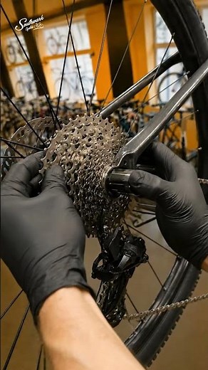 🔧 How to Remove a Rear Cassette & Derailleur Like a Pro!