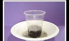 Salt and the rising water table