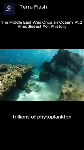 The Middle East Was Once an Ocean? Pt.2 #middleeast #oil #history