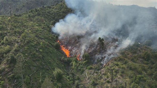 #BriggsFire UPDATE: Firefighters have hose completely around the fire and have stopped its forward progress. Crews continue with heavy mop-up operations, as the fire was burning in heavy fuels. They will remain on site well into the evening hours as they continue to fortify the perimeter and put out hot spots. There have been no reports of injuries, and no structures are threatened. The cause of the fire is under investigation.