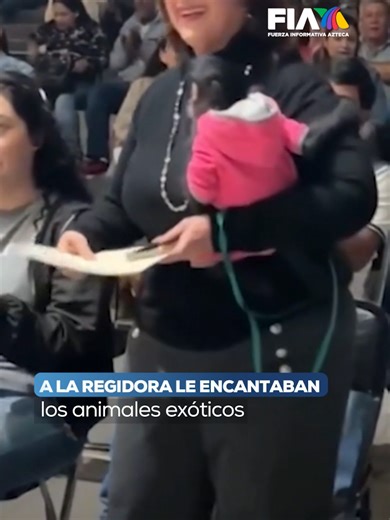 Indignación por el changuito en evento público