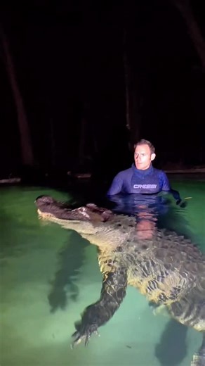 Christopher Gillette on Instagram: "Swimming in the water with 10ft gator at night! Me and @danaturedude went swimming with Big Mac at night in the pond! Big Mac was much more predatory at night, we were using an underwater red light, which made it look extra creepy!! ~~~Our rescue gators are wild caught nuisance gators that would’ve otherwise been destroyed. The state of Florida destroys 8,000 “nuisance” gators annually, but we don’t have a nuisance gators problem but rather a nuisance HUMAN pr