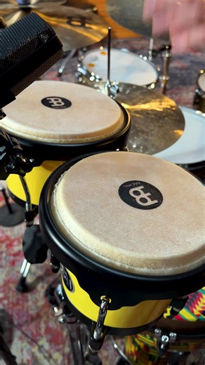 Bongo Drums = 🔥🔥 #bongos #drums