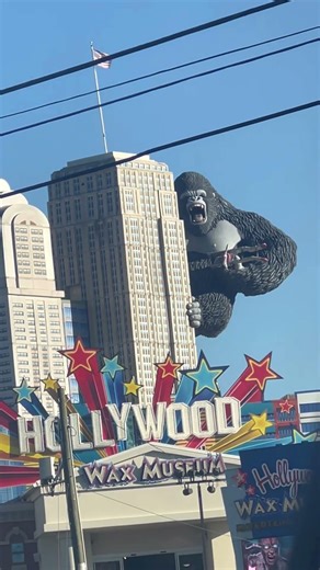 King Kong just couldn’t resist making a stop at the Hollywood Wax Museum! #shorts #gatlinburg #kong