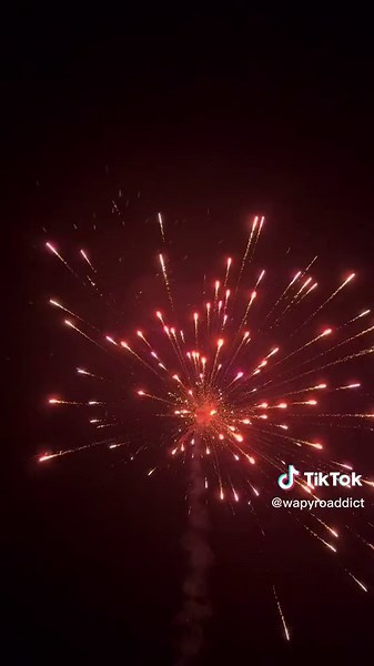 Canister shells 💥 #pnw #fyp #viral #pyro #fireworks #crazy #cool