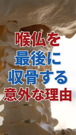 なぜ喉仏という名前なのか？ ​#仏教#哲学#お墓#人生相談#歴史 #宗教#政治