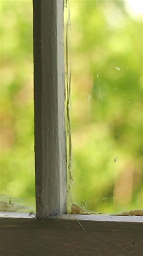 🏠 Your local Glass Doctor® assesses window damage and provides honest recommendations for repair or replacement. Cracks can compromise your home's safety and can worsen over time. Our glass specialists arrive with mobile units, bringing our tools to you for convenient in-home service. We restore your windows to perfect condition with quality and upfront pricing you can trust. Let's get those cracks fixed! #GlassDoctor #Neighborly #WindowRepair #CrackedGlass | Glass Doctor of Seneca, SC