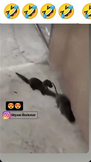 bacha lo bhai bacha lo Main Mar Hi jaunga bhaiya