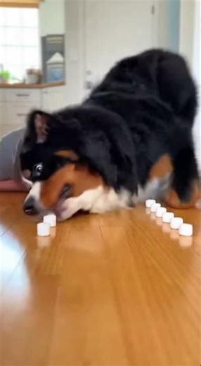 The Most Cheating Speedrun 😆