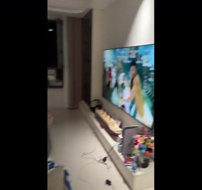 Kitten watches TV while sitting on chair in Heilongjiang, China