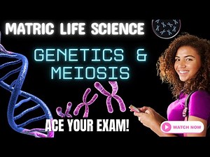 Life Science | Paper 2 Exam Revision | Meiosis (Grade 12 CAPS)
