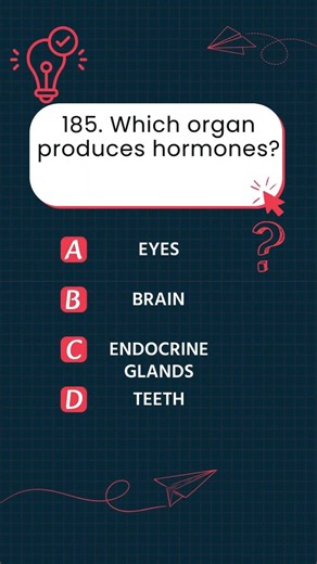 185 Which organ produces hormones