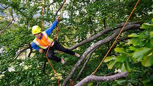 Videos - Petzl : Learn More About Using the ZIGZAG and EJECT | Petzl USA