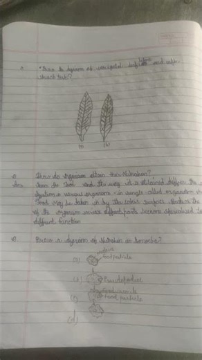 10 class chapter5 notes life process