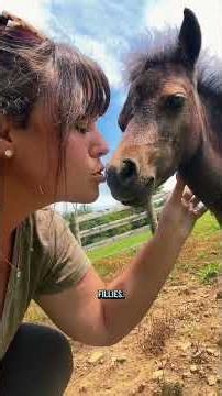 It’s been the most boring day and I’m not complaining #katievanslyke #animals