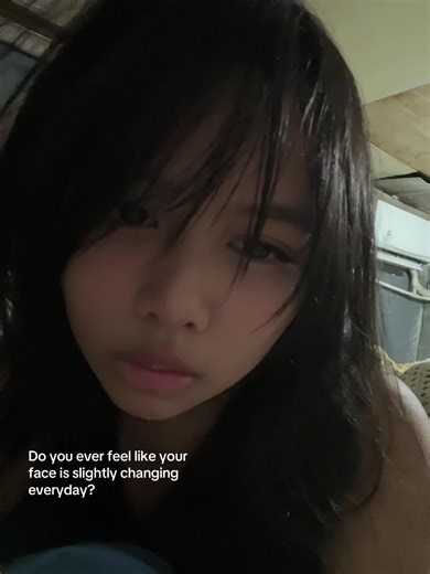 Understanding Face ID Recognition Challenges