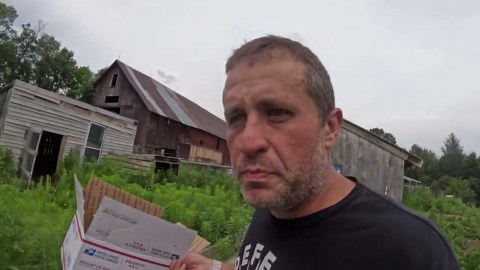 Ducklings Hatching on Pasture: What Farmers Can Learn