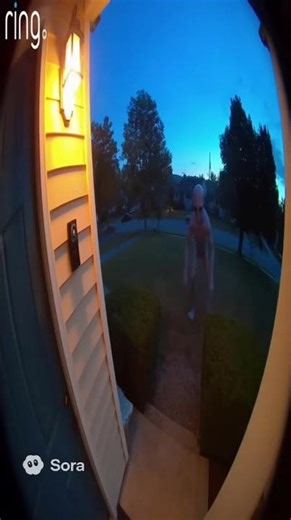 Alien Caught on Door Camera #Alien #AI #Ringdoorbell