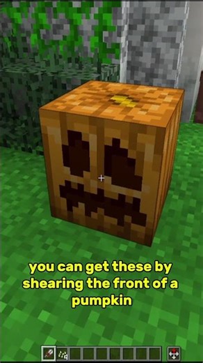 How to Grow A Pumpkin in Minecraft #minecraftsurvival