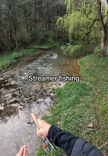 Streamer Fishing: The Ultimate Big Fish Adventure