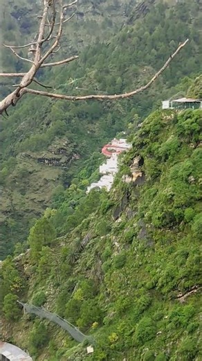 Maa Vaishno Devi Ka Shakti Dham🚩 #jaimatadi#vaishnodevi#katra#bhawan #trending #hindutemple#india#yt