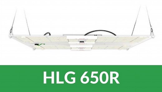 The HLG 650R - A Must-Read, Comprehensive, Honest Review