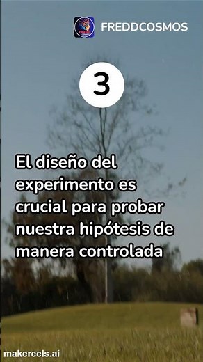 Los 5 Pasos del Método Científico #ciencia #sciense #metodos #ai