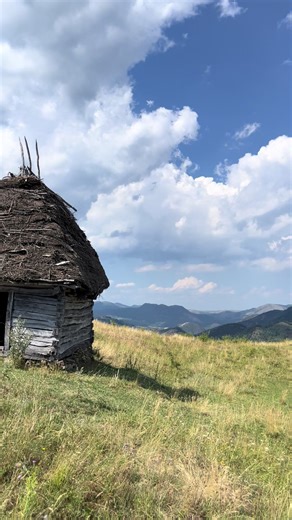 Cramar Paula pe TikTok