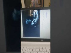 Rotate screen random mouse hacker python virus