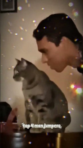 Shocked cats caught on video | Hilarious cat jump scares | Best 2025#animals#shorts#animalshorts