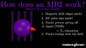 How MRI Works - Part 1 - NMR Basics on Make a GIF