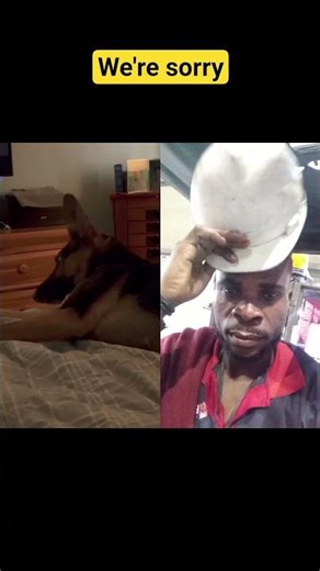 We're sorry, service error, #goofy #usashorts #shorts #trend #fyp #duet