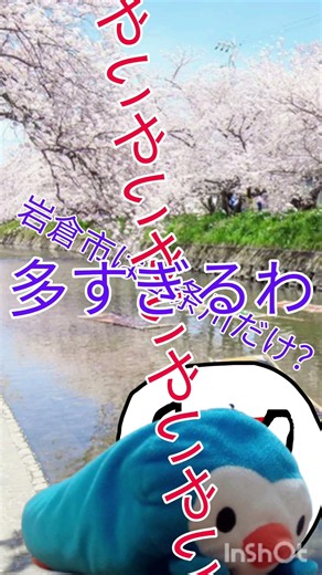 Did you know this city has a famous cherry blossom spot and a castle that once belonged to the fa...