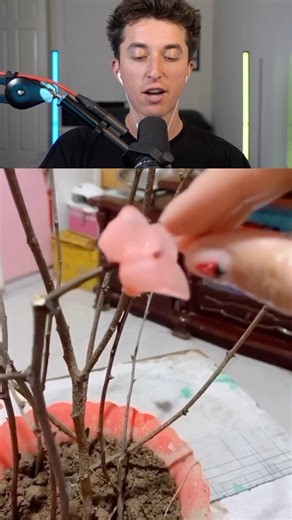 How To Make Wax Flowers