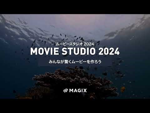 Movie Studio 2024
