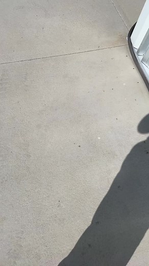 #cars #carsoftiktok #fypシ #audi #audia4 #projectcar #firstcar #fyp