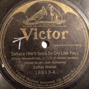Esther Walker - Sahara (We'll Soon Be Dry Like You) / Nobody Knows (And Nobody Seems To Care)