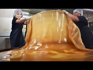 How kombucha Are Made in Factory : kombucha Processing in Factory
