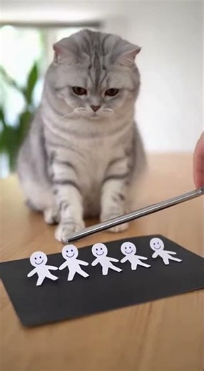Cat Uses “Static Magic” to Make Paper People Dance