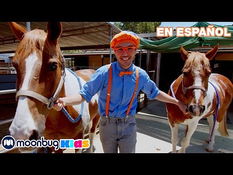 ¡Caballos en Granja de Danny! | Aprende con Blippi | ‪@BlippiEspañol‬ | Moonbug Kids