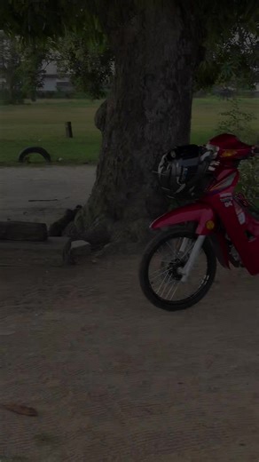 Maintaining Cleanliness: Tips and Insights